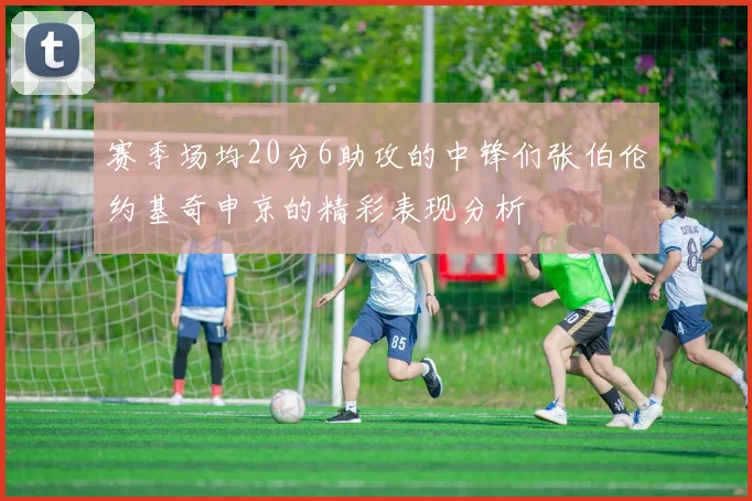 赛季场均20分6助攻的中锋们张伯伦约基奇申京的精彩表现分析